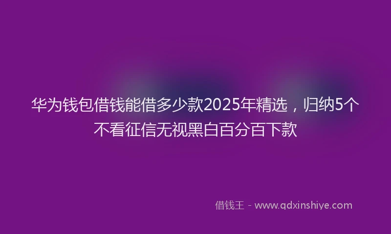 华为钱包借钱能借多少款2025年精选，归纳5个不看征信无视黑白百分百下款