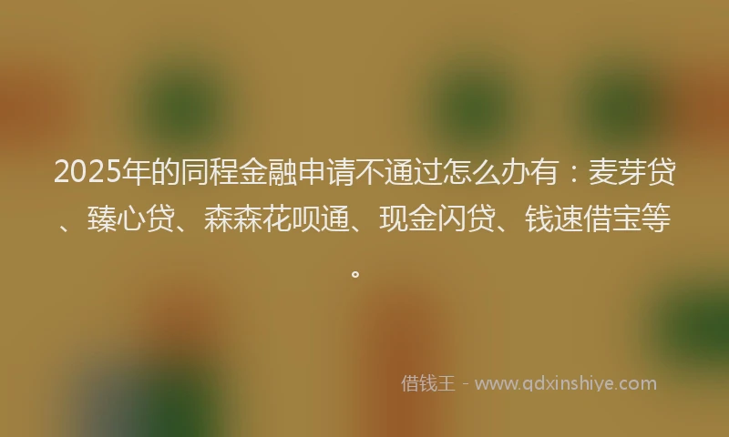 2025年的同程金融申请不通过怎么办有：麦芽贷、臻心贷、森森花呗通、现金闪贷、钱速借宝等。