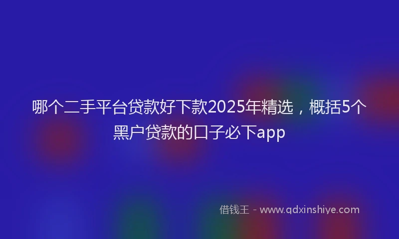 哪个二手平台贷款好下款2025年精选，概括5个黑户贷款的口子必下app