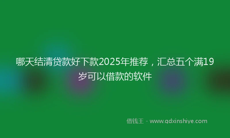 哪天结清贷款好下款2025年推荐，汇总五个满19岁可以借款的软件