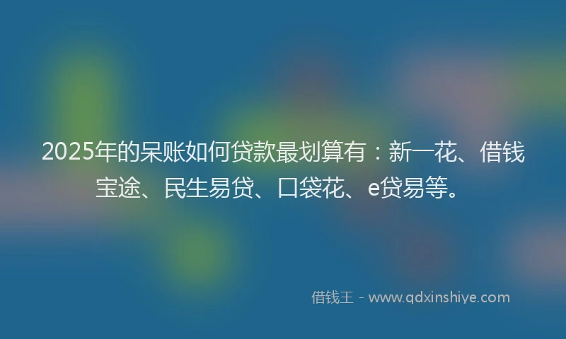 2025年的呆账如何贷款最划算有：新一花、借钱宝途、民生易贷、口袋花、e贷易等。