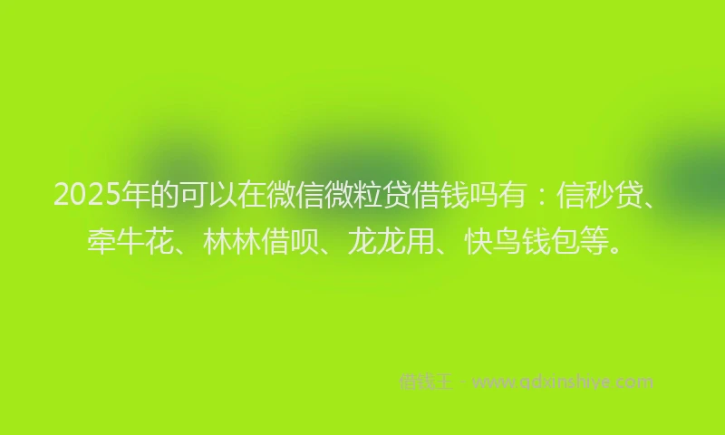 2025年的可以在微信微粒贷借钱吗有：信秒贷、牵牛花、林林借呗、龙龙用、快鸟钱包等。