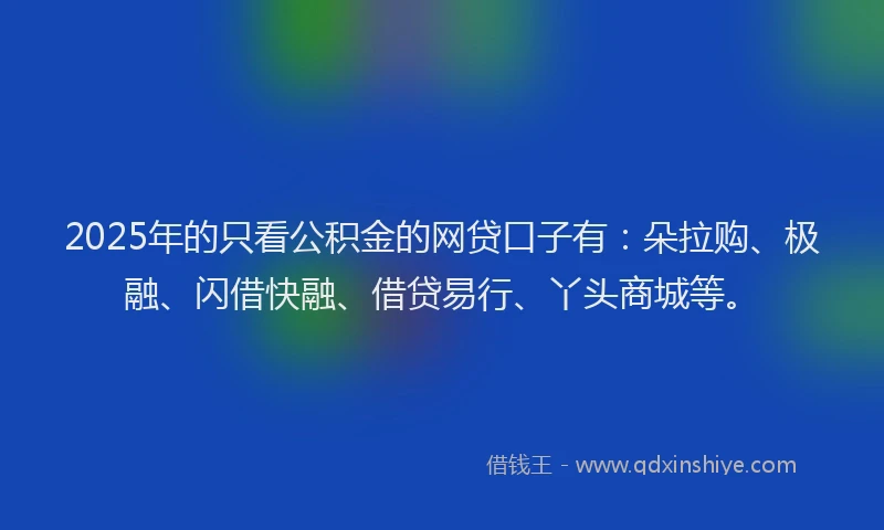 2025年的只看公积金的网贷口子有：朵拉购、极融、闪借快融、借贷易行、丫头商城等。