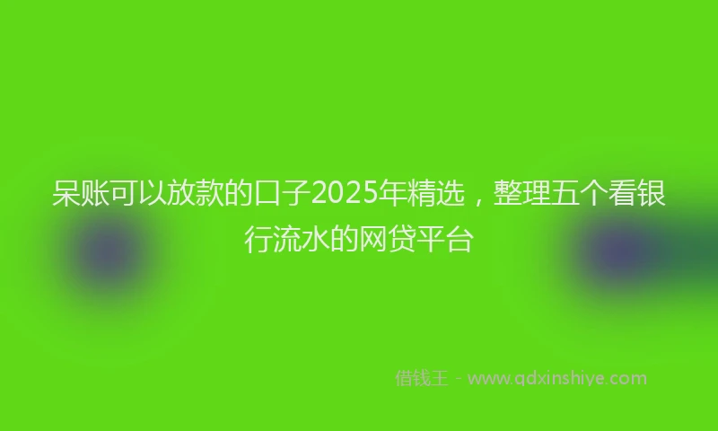 呆账可以放款的口子2025年精选，整理五个看银行流水的网贷平台