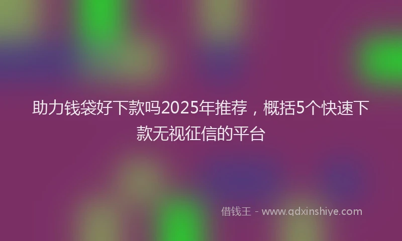 助力钱袋好下款吗2025年推荐，概括5个快速下款无视征信的平台