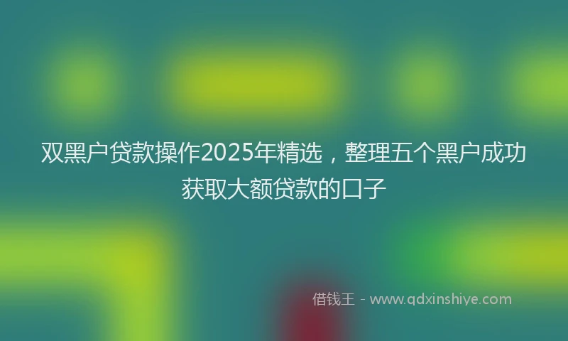 双黑户贷款操作2025年精选，整理五个黑户成功获取大额贷款的口子