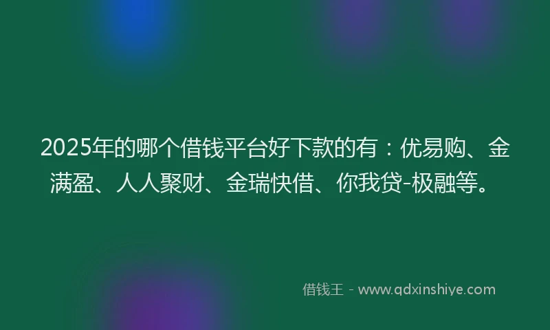 2025年的哪个借钱平台好下款的有：优易购、金满盈、人人聚财、金瑞快借、你我贷-极融等。