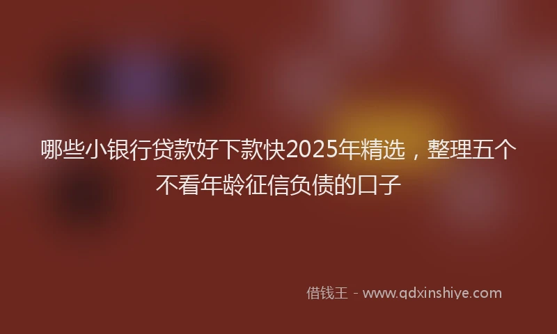 哪些小银行贷款好下款快2025年精选，整理五个不看年龄征信负债的口子