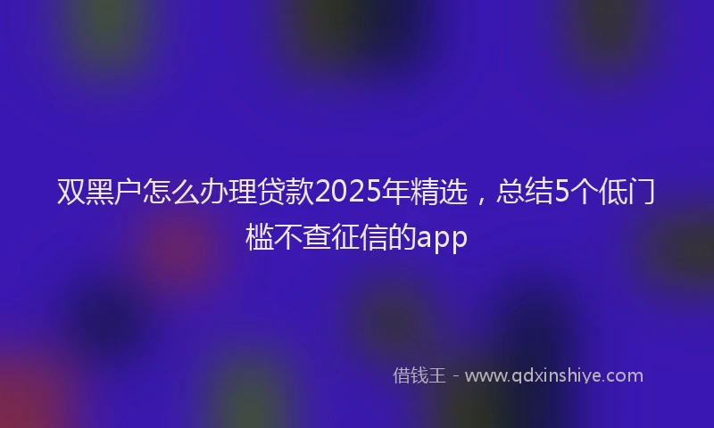 双黑户怎么办理贷款2025年精选，总结5个低门槛不查征信的app
