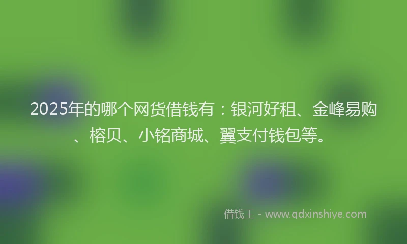 2025年的哪个网货借钱有：银河好租、金峰易购、榕贝、小铭商城、翼支付钱包等。