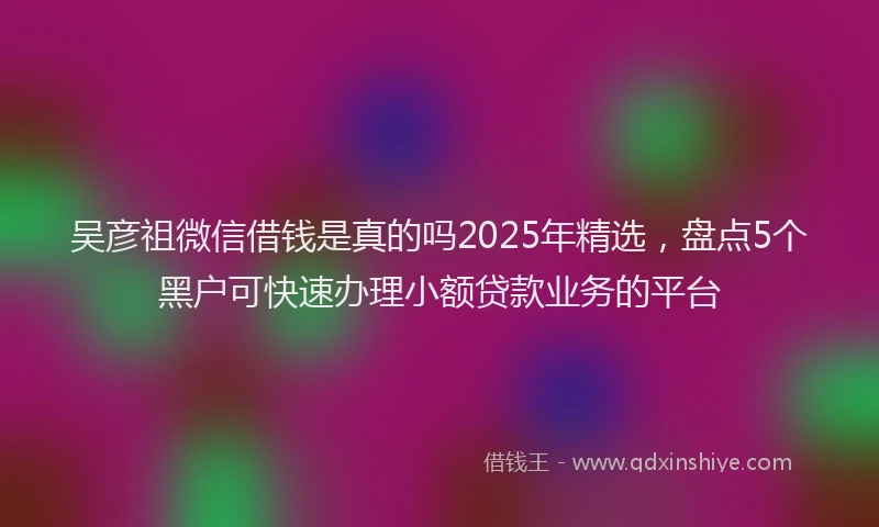 吴彦祖微信借钱是真的吗2025年精选，盘点5个黑户可快速办理小额贷款业务的平台