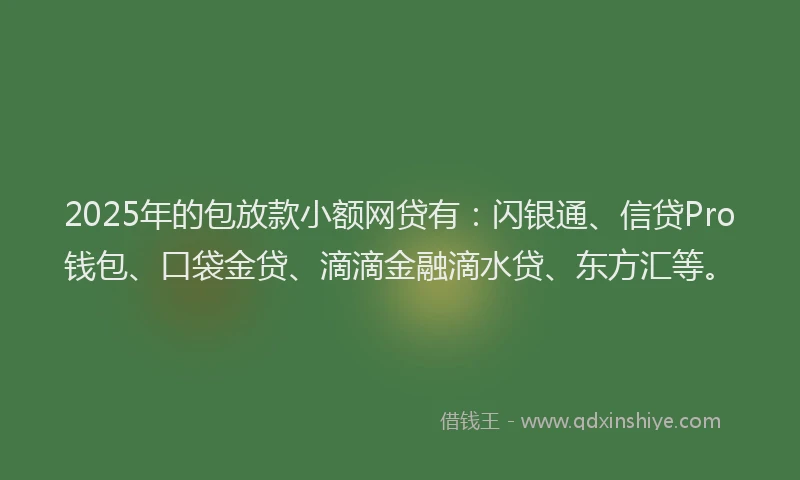 2025年的包放款小额网贷有：闪银通、信贷Pro钱包、口袋金贷、滴滴金融滴水贷、东方汇等。