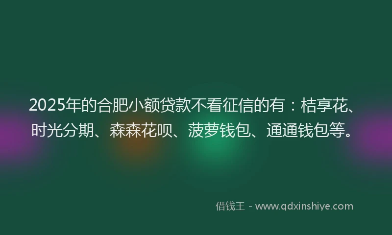 2025年的合肥小额贷款不看征信的有：桔享花、时光分期、森森花呗、菠萝钱包、通通钱包等。