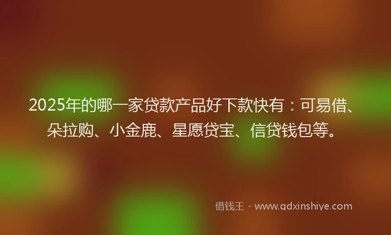 2025年的哪一家贷款产品好下款快有：可易借、朵拉购、小金鹿、星愿贷宝、信贷钱包等。