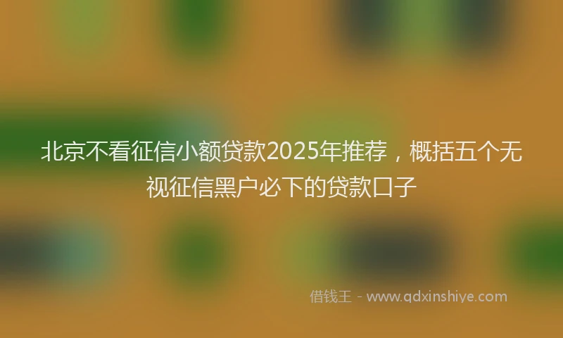 北京不看征信小额贷款2025年推荐，概括五个无视征信黑户必下的贷款口子