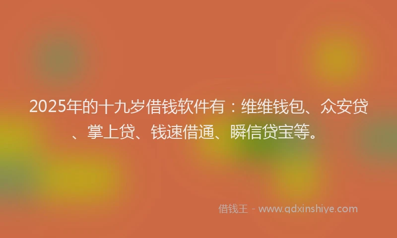 2025年的十九岁借钱软件有：维维钱包、众安贷、掌上贷、钱速借通、瞬信贷宝等。