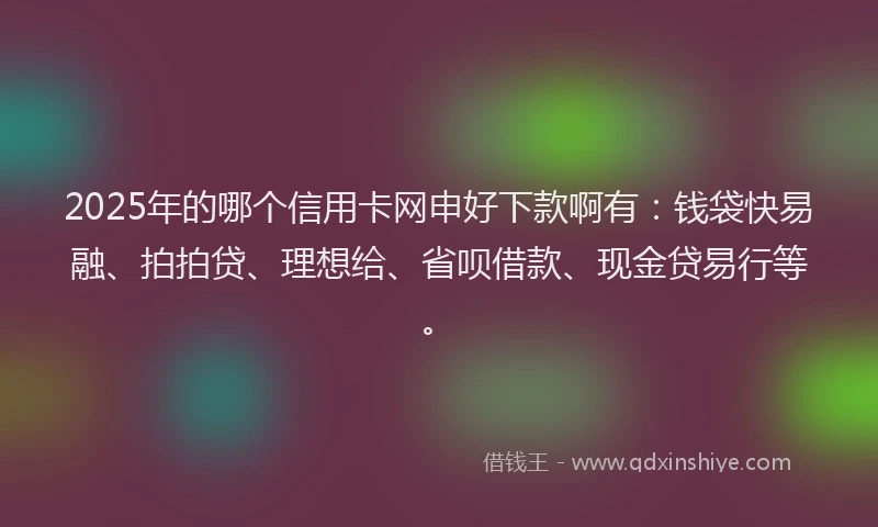 2025年的哪个信用卡网申好下款啊有：钱袋快易融、拍拍贷、理想给、省呗借款、现金贷易行等。