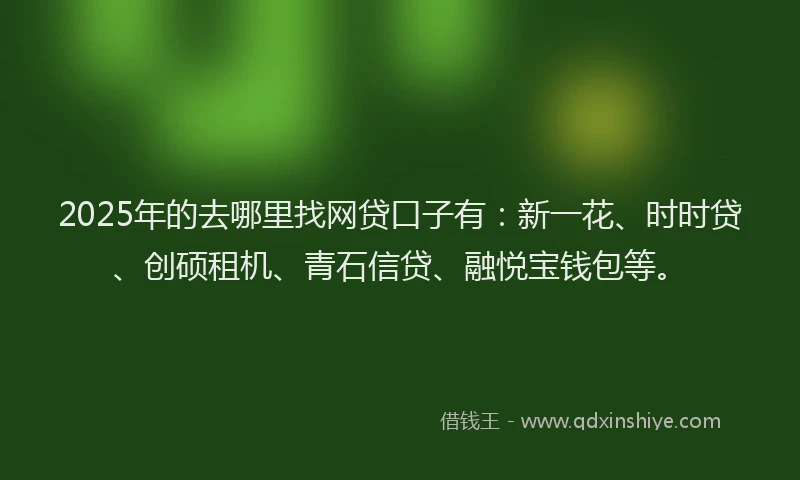 2025年的去哪里找网贷口子有：新一花、时时贷、创硕租机、青石信贷、融悦宝钱包等。
