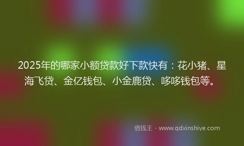 2025年的哪家小额贷款好下款快有：花小猪、星海飞贷、金亿钱包、小金鹿贷、哆哆钱包等。