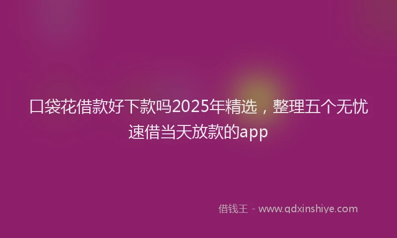 口袋花借款好下款吗2025年精选，整理五个无忧速借当天放款的app