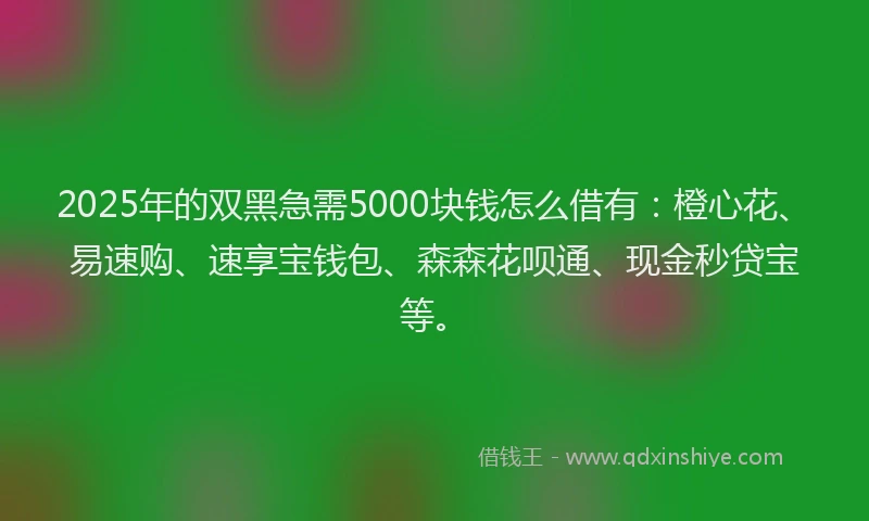 2025年的双黑急需5000块钱怎么借有：橙心花、易速购、速享宝钱包、森森花呗通、现金秒贷宝等。