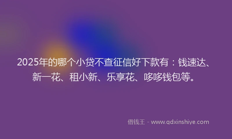 2025年的哪个小贷不查征信好下款有：钱速达、新一花、租小新、乐享花、哆哆钱包等。