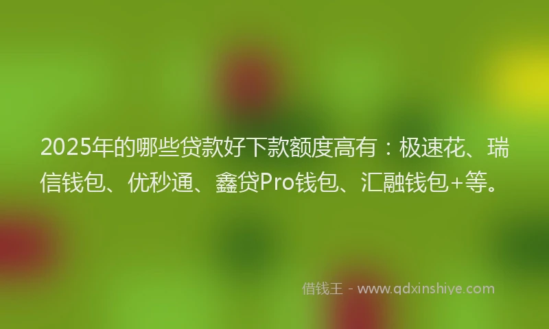 2025年的哪些贷款好下款额度高有：极速花、瑞信钱包、优秒通、鑫贷Pro钱包、汇融钱包+等。