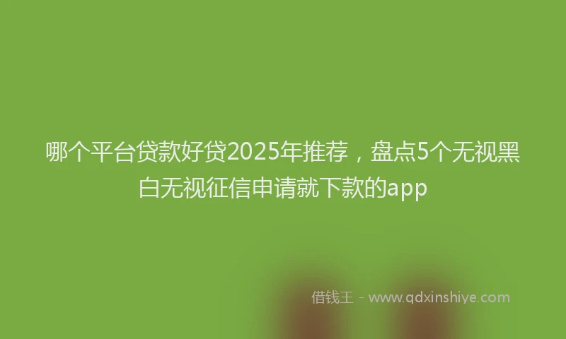 哪个平台贷款好贷2025年推荐，盘点5个无视黑白无视征信申请就下款的app