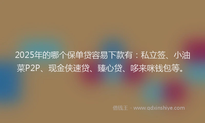 2025年的哪个保单贷容易下款有：私立签、小油菜P2P、现金侠速贷、臻心贷、哆来咪钱包等。