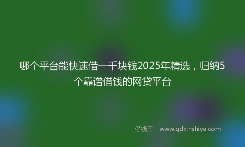 哪个平台能快速借一千块钱2025年精选，归纳5个靠谱借钱的网贷平台