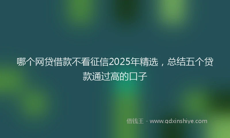 哪个网贷借款不看征信2025年精选，总结五个贷款通过高的口子