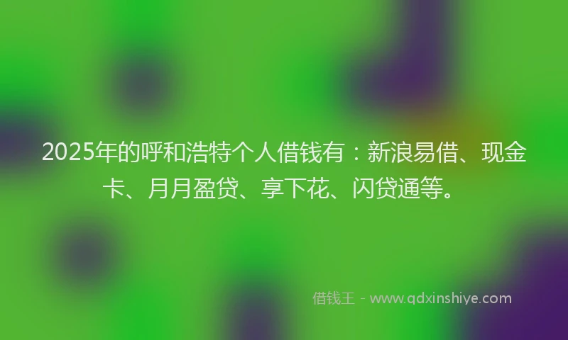 2025年的呼和浩特个人借钱有：新浪易借、现金卡、月月盈贷、享下花、闪贷通等。