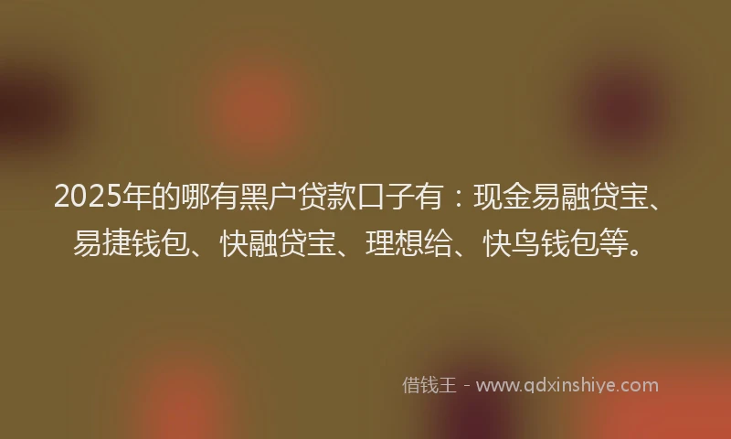2025年的哪有黑户贷款口子有：现金易融贷宝、易捷钱包、快融贷宝、理想给、快鸟钱包等。