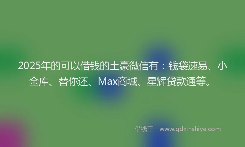 2025年的可以借钱的土豪微信有：钱袋速易、小金库、替你还、Max商城、星辉贷款通等。