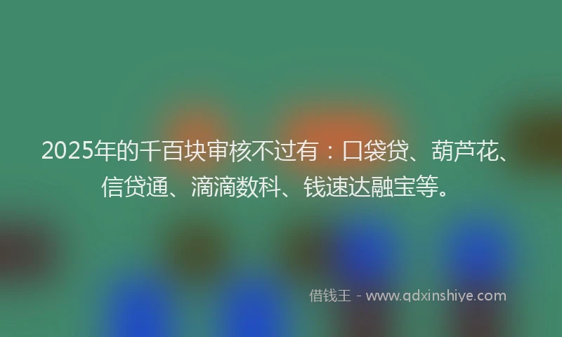 2025年的千百块审核不过有：口袋贷、葫芦花、信贷通、滴滴数科、钱速达融宝等。
