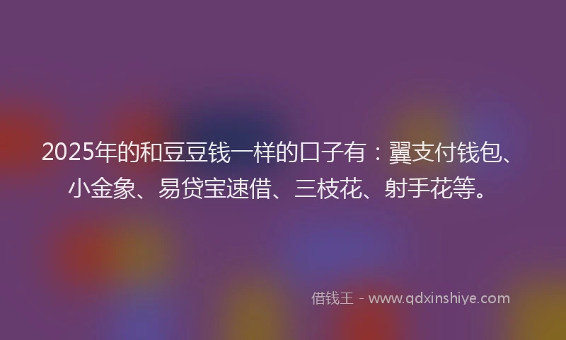 2025年的和豆豆钱一样的口子有：翼支付钱包、小金象、易贷宝速借、三枝花、射手花等。