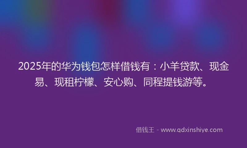 2025年的华为钱包怎样借钱有：小羊贷款、现金易、现租柠檬、安心购、同程提钱游等。