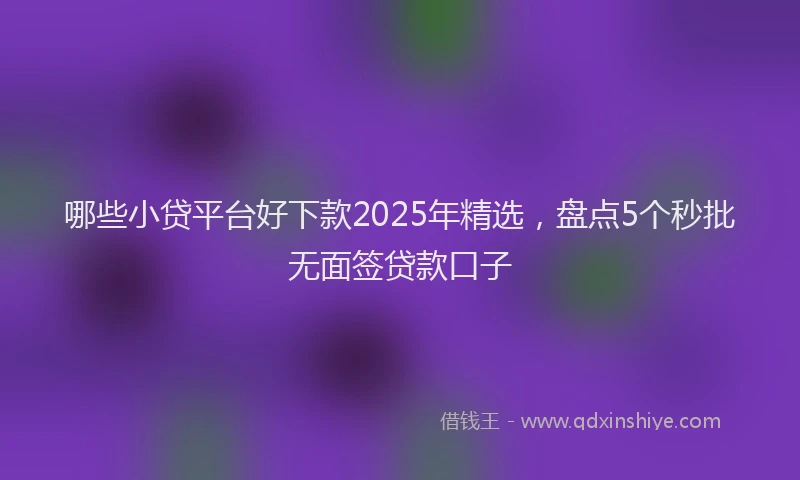 哪些小贷平台好下款2025年精选，盘点5个秒批无面签贷款口子