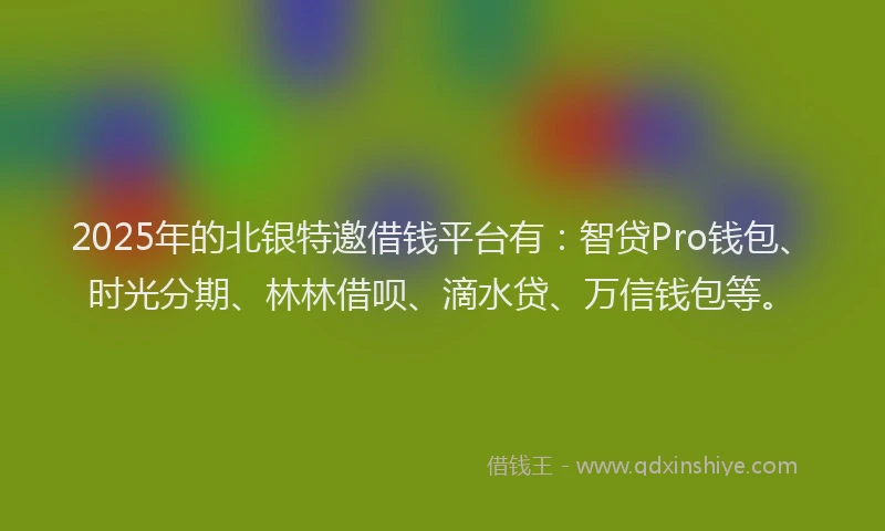 2025年的北银特邀借钱平台有：智贷Pro钱包、时光分期、林林借呗、滴水贷、万信钱包等。