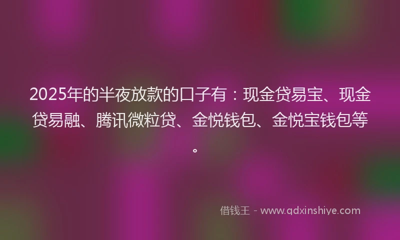 2025年的半夜放款的口子有：现金贷易宝、现金贷易融、腾讯微粒贷、金悦钱包、金悦宝钱包等。