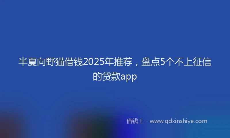 半夏向野猫借钱2025年推荐，盘点5个不上征信的贷款app