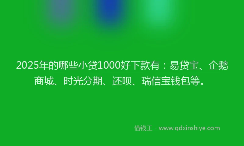 2025年的哪些小贷1000好下款有：易贷宝、企鹅商城、时光分期、还呗、瑞信宝钱包等。