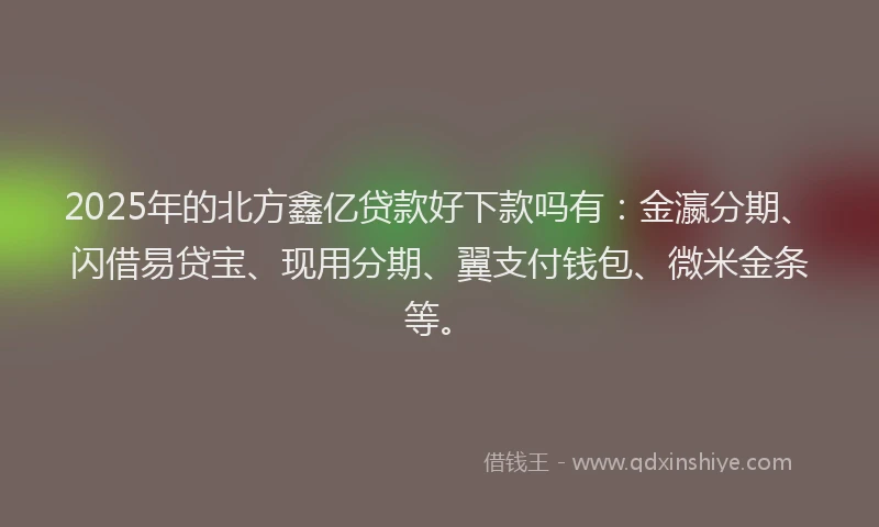 2025年的北方鑫亿贷款好下款吗有：金瀛分期、闪借易贷宝、现用分期、翼支付钱包、微米金条等。