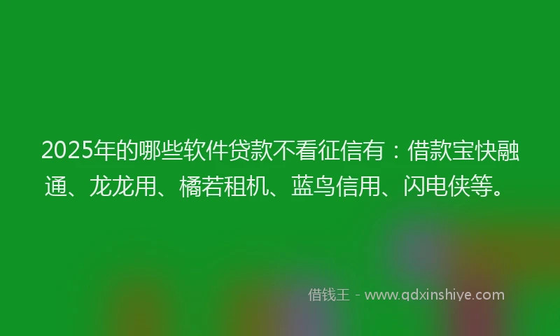 2025年的哪些软件贷款不看征信有：借款宝快融通、龙龙用、橘若租机、蓝鸟信用、闪电侠等。
