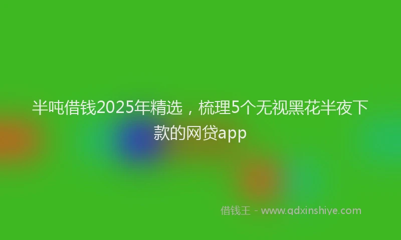 半吨借钱2025年精选，梳理5个无视黑花半夜下款的网贷app