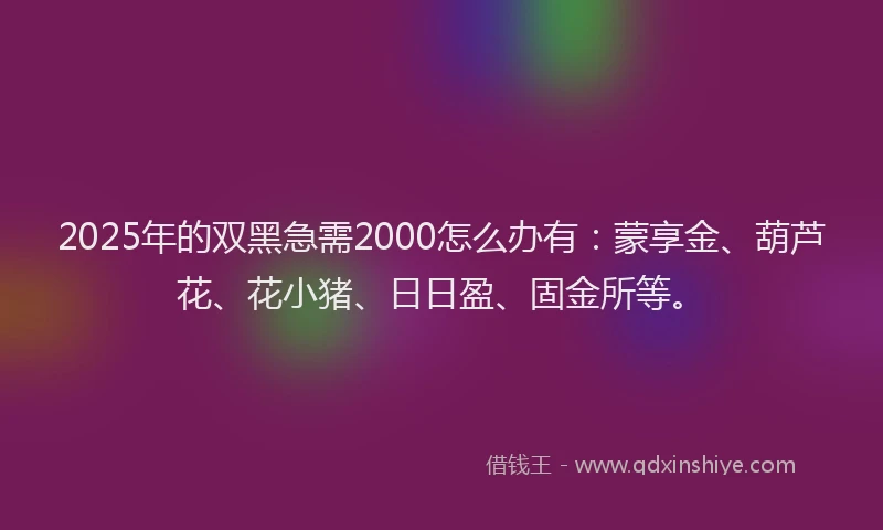 2025年的双黑急需2000怎么办有：蒙享金、葫芦花、花小猪、日日盈、固金所等。