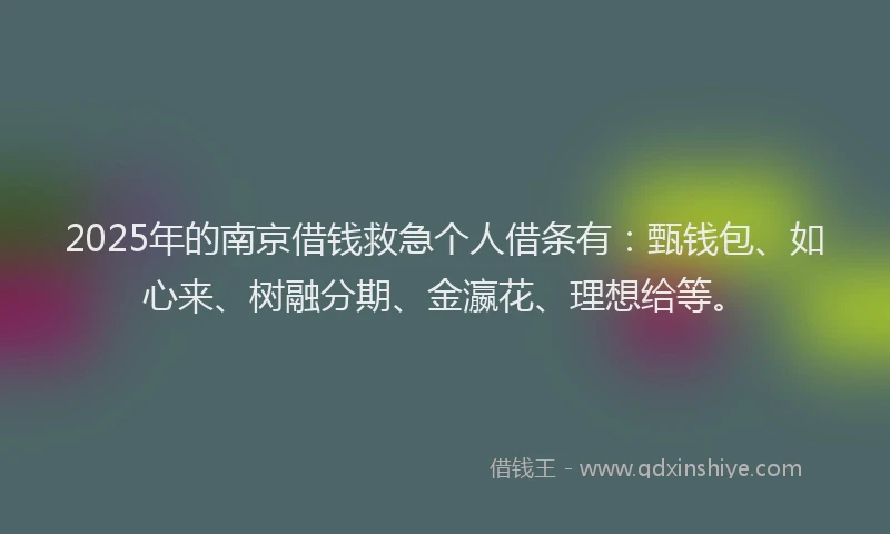 2025年的南京借钱救急个人借条有：甄钱包、如心来、树融分期、金瀛花、理想给等。