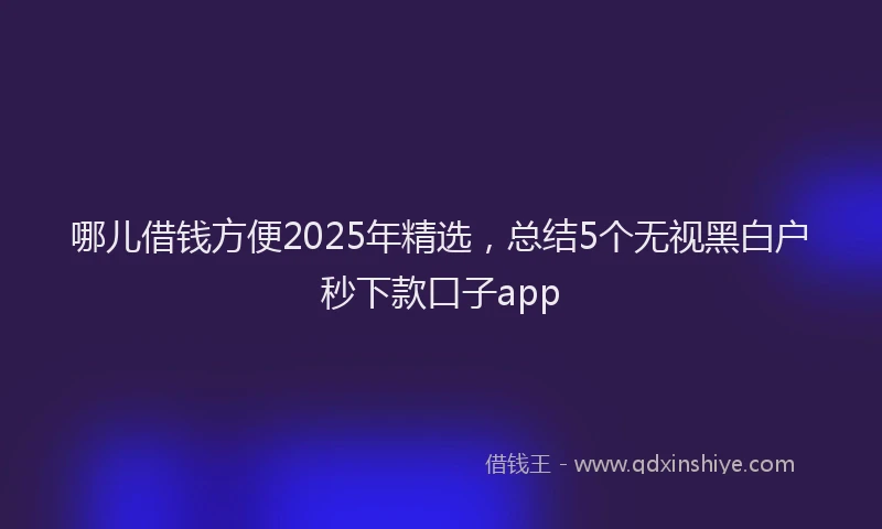 哪儿借钱方便2025年精选，总结5个无视黑白户秒下款口子app