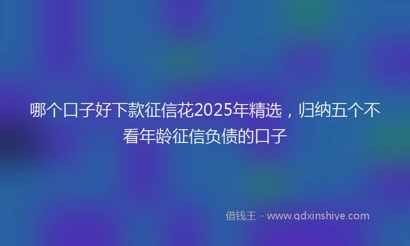 哪个口子好下款征信花2025年精选，归纳五个不看年龄征信负债的口子