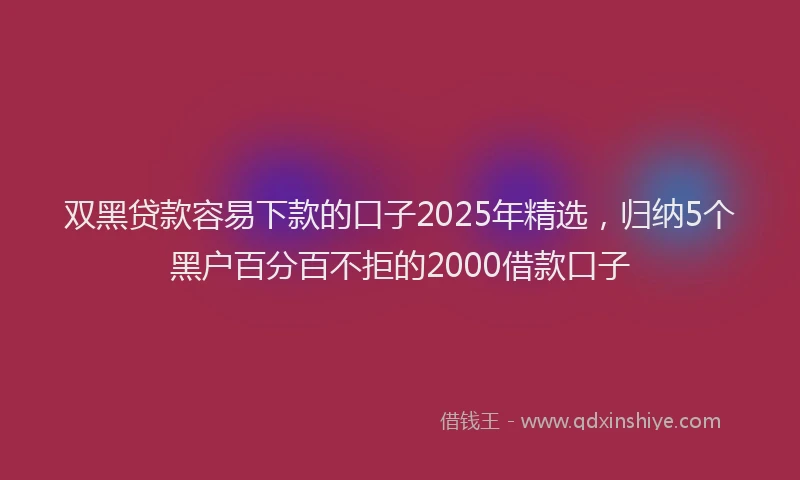 双黑贷款容易下款的口子2025年精选，归纳5个黑户百分百不拒的2000借款口子